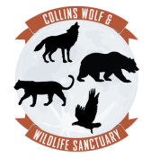Collins Wolf and Wildlife Sanctuary